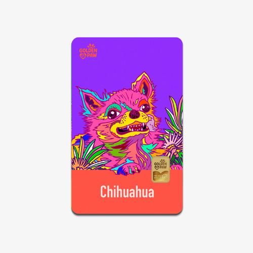 Golden Paw 카드형 골드 1g (치와와)